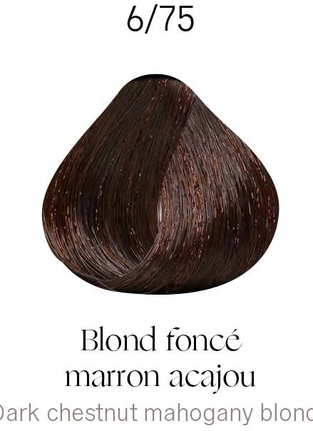 Kydra Crème 6-75 Châtaigne foncée Mahogany Blonde