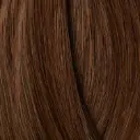 Showpony 45-50cm (20") HALO - 3 EN 1 BOX SET - 6G Chestnut