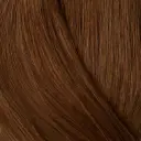 Showpony 45-50cm (20") HALO - 3 in 1 BOX SET - 7AG Cinnamon