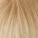 Showpony 45-50cm (20") Skin Weft Tape Extensions - Ombre - 9NG-11B Sunshine Kiss