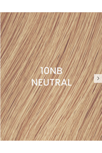 [505025-10NB-N] BHBD Weft 50x25cm 10NB Neutre