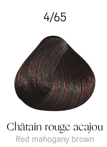 [KD10067] Kydra botanique 4-65 Rouge Acajou Marron