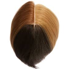 [MMSUZZLL-4P] Mannequin Head Pivot Point - Colour Quadrant 4