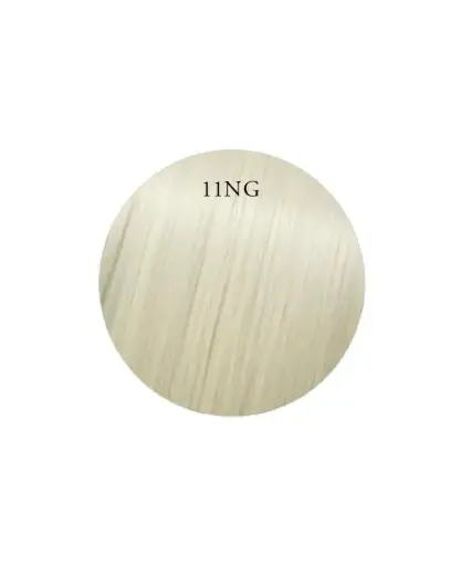 [719038] Showpony 30-35cm (14") Skin Weft Tape Extensions - 11NG Silver Blonde