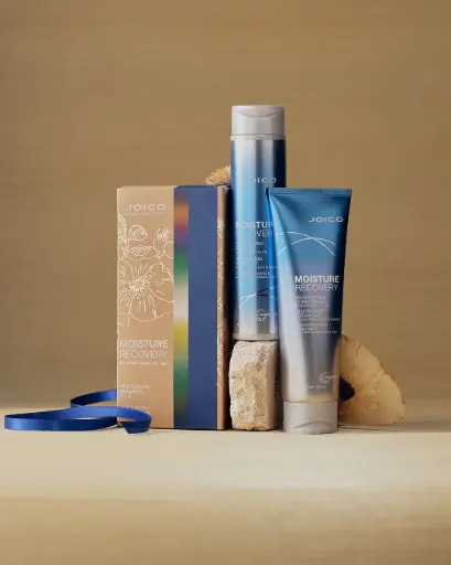 [3046600] Joico X-MAS Moisture Recovery